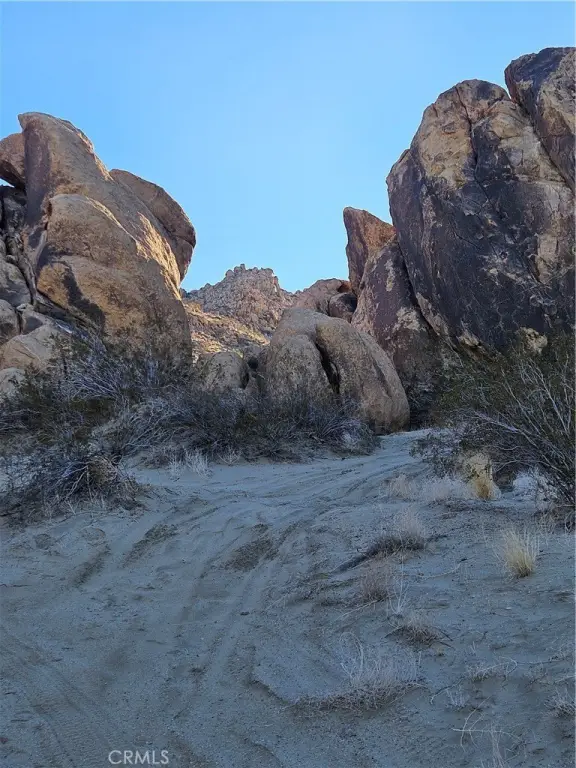 Picture 15