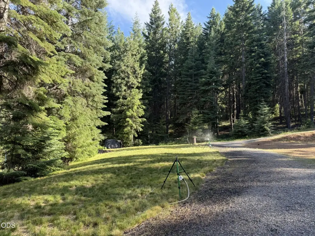 Picture 20