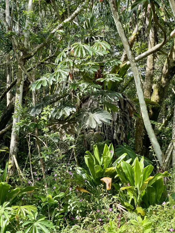 Picture 10