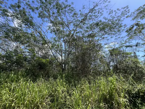 Vacant Lot in Nanawale Estates