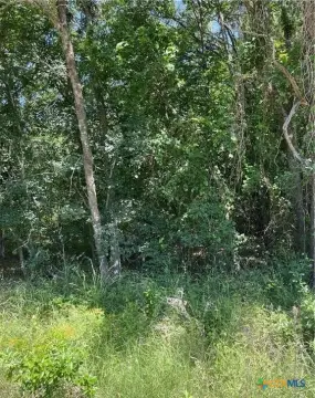 Lakeside Land Near Navarro Mills