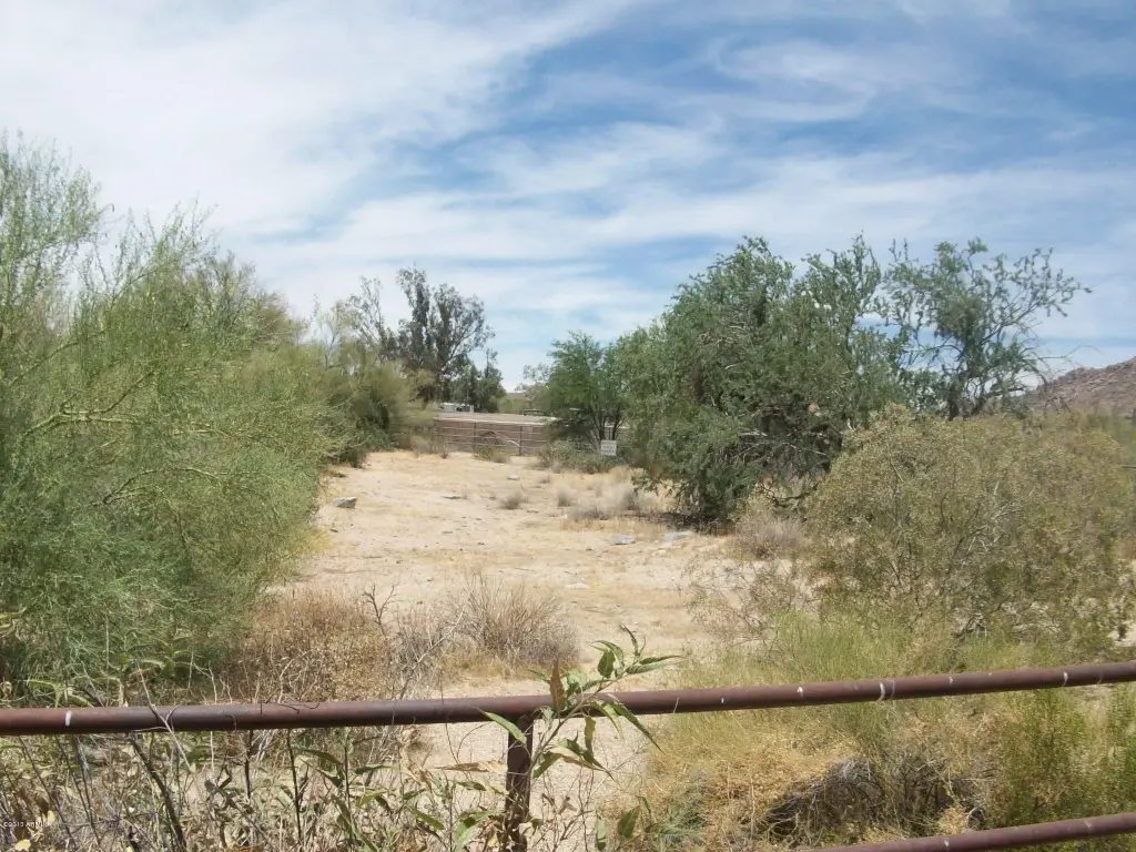 Picture 7