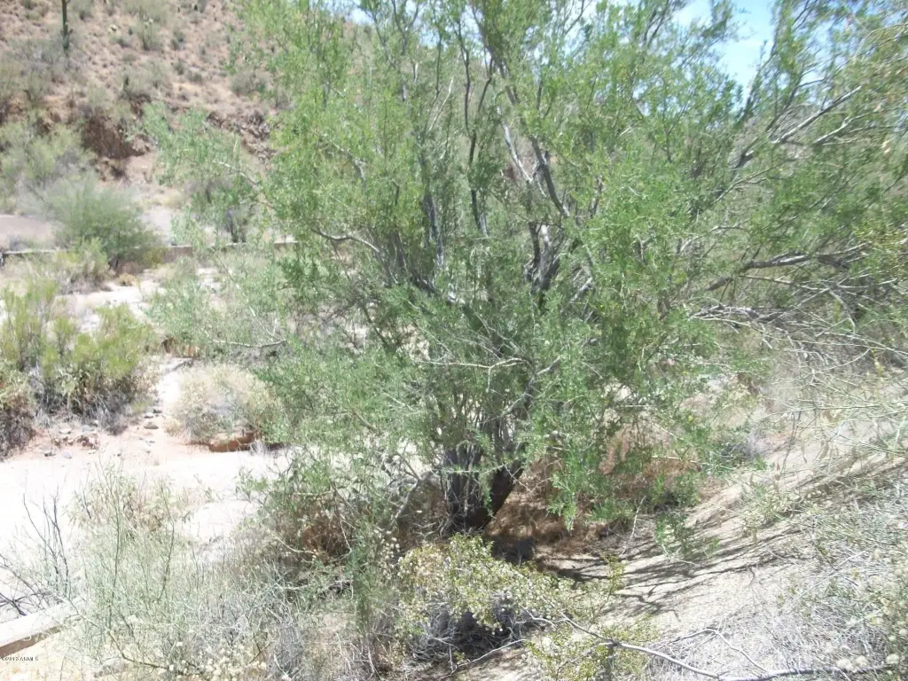 Picture 16