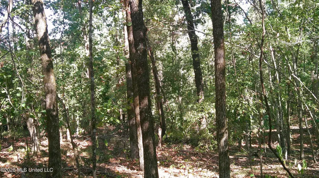 Picture 3