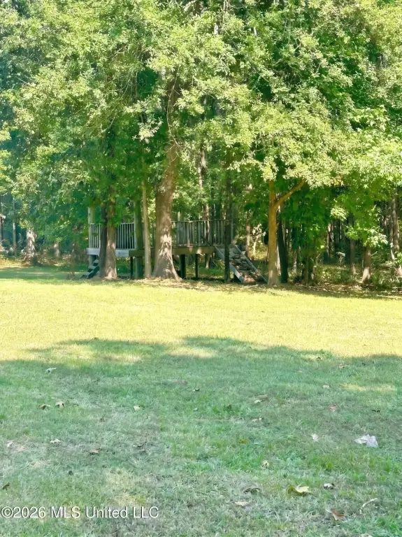 Picture 12