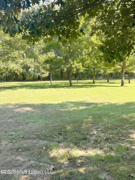 Picture 7