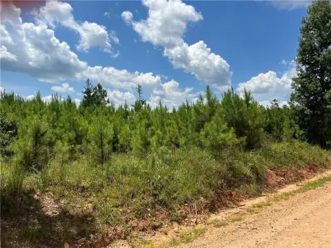 Salem, AL Homesite Acreage