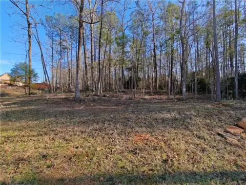 Arrowhead Lot in Opelika, AL