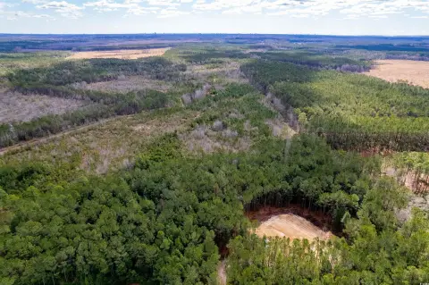 62 Acres Near Downtown Conway