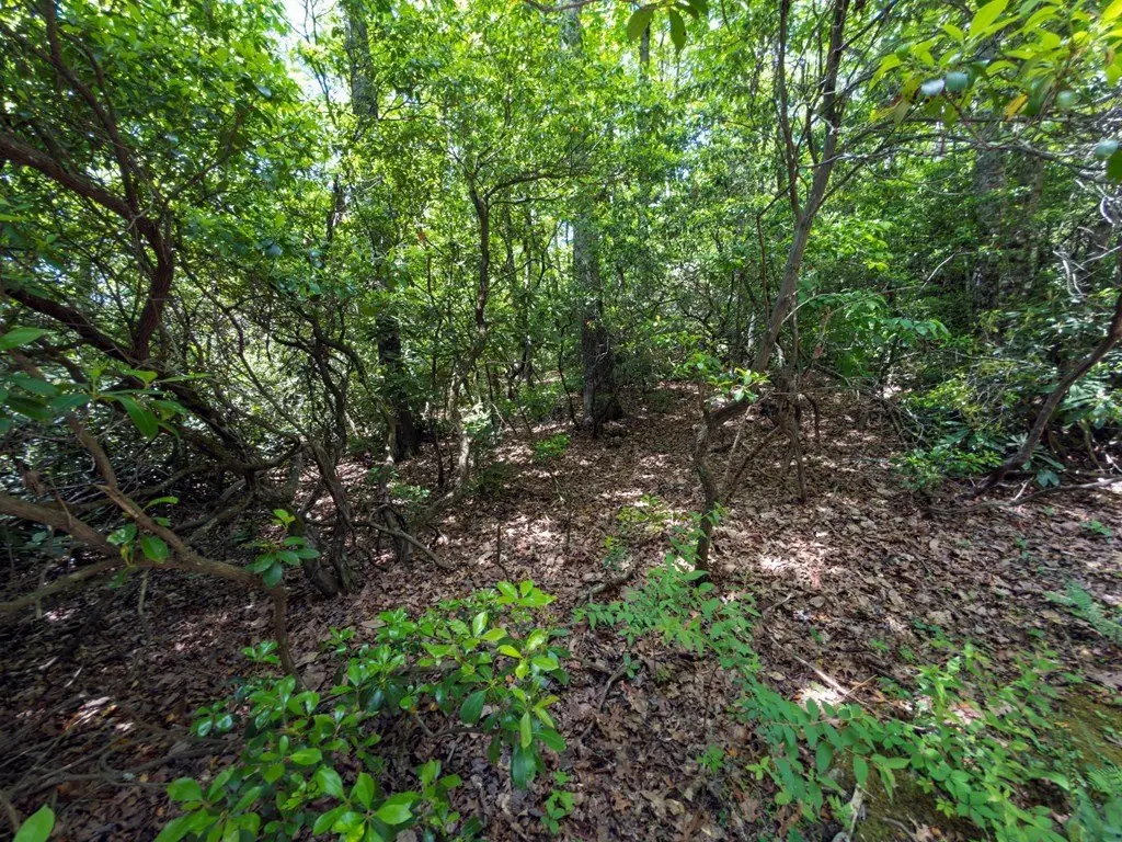 Picture 20