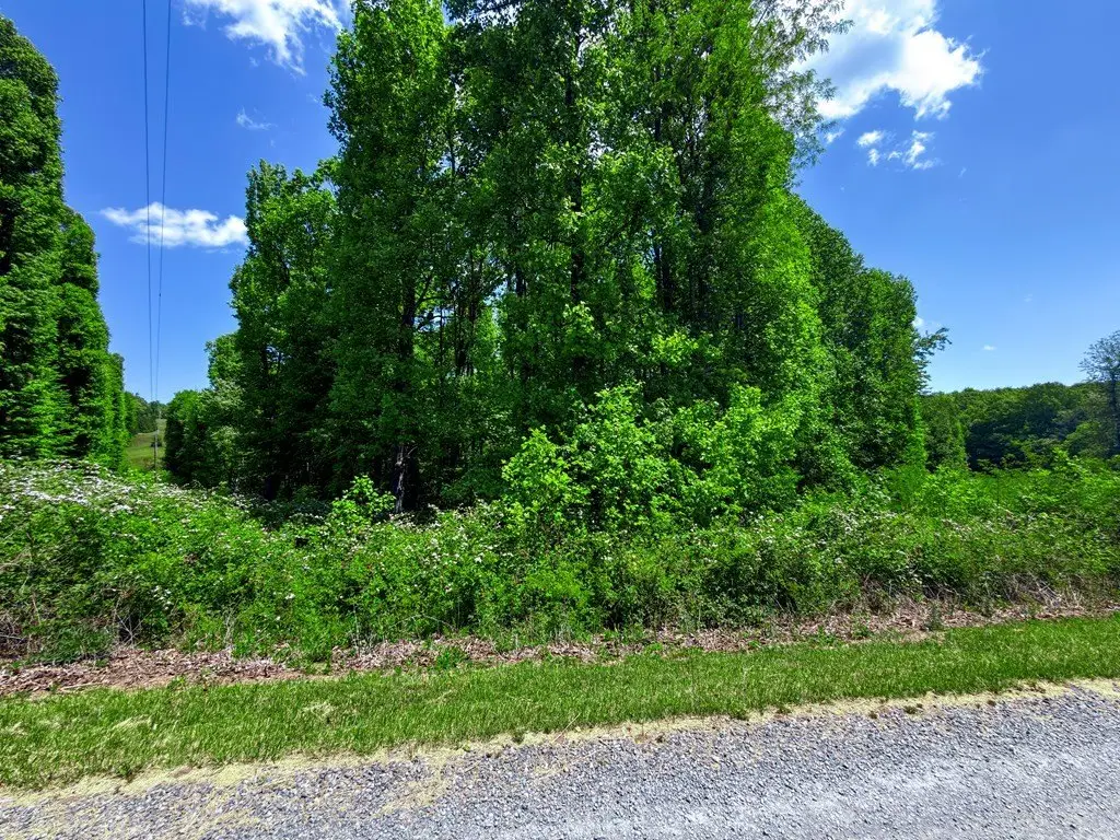 Picture 45