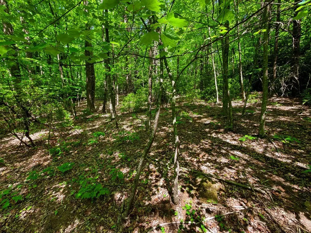 Picture 29