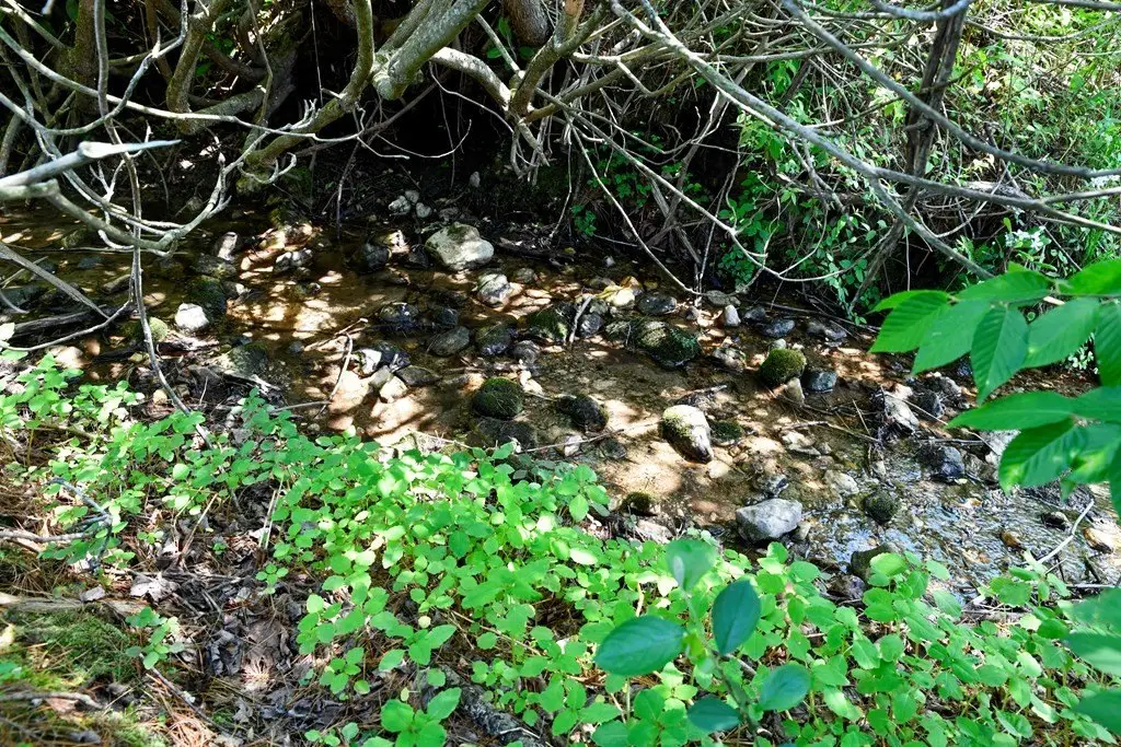 Picture 2