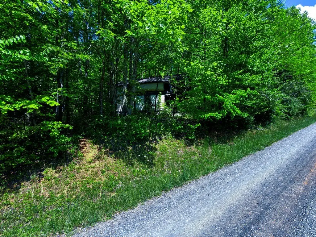 Picture 40
