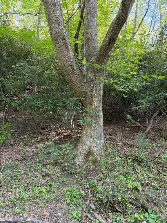 Picture 13