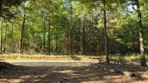 20-Acre Land Tract in Hatfield, AR