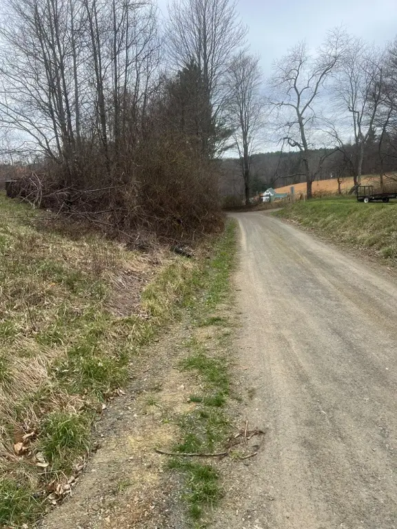 Picture 2