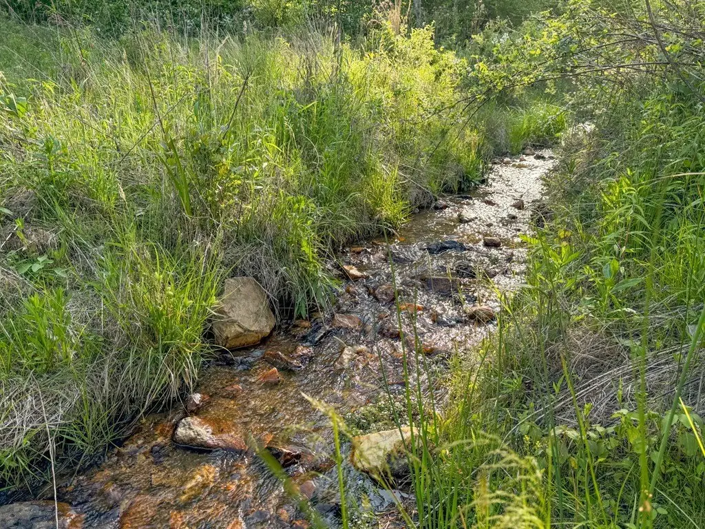 Picture 41