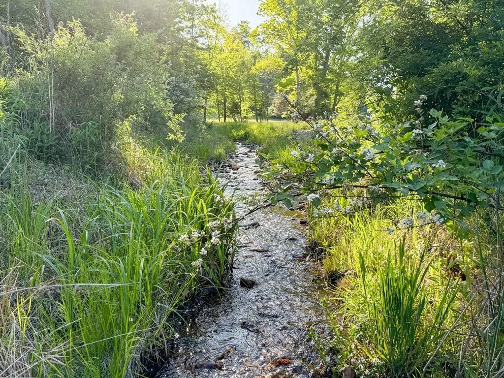 Picture 38