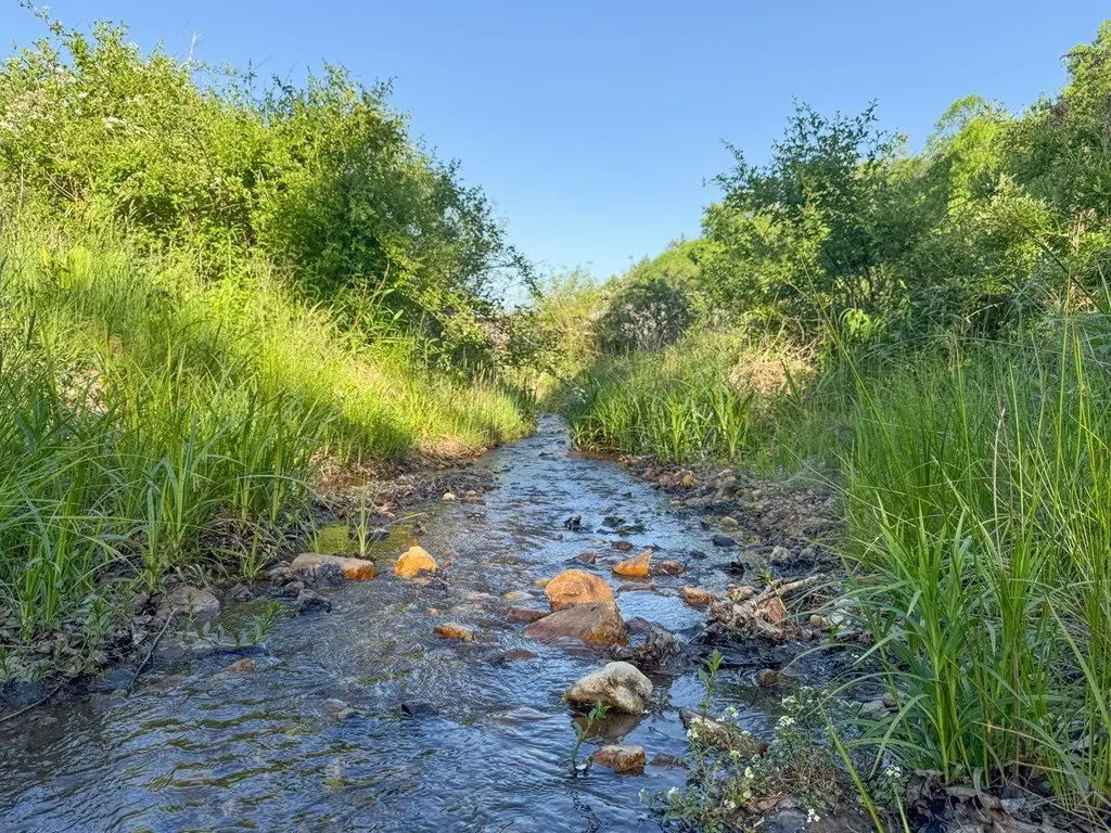 Picture 7