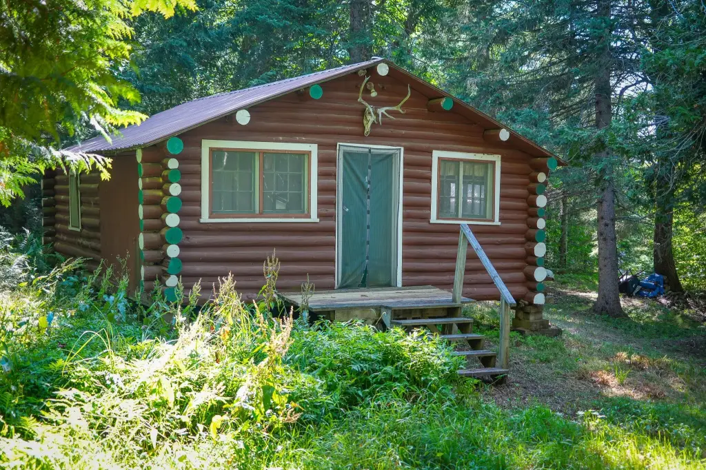 Picture 7