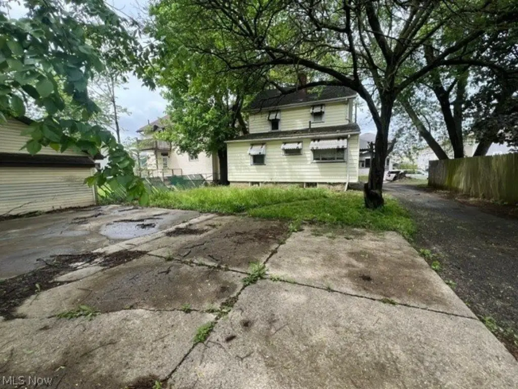 Picture 6