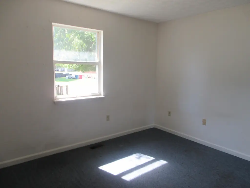 Picture 4