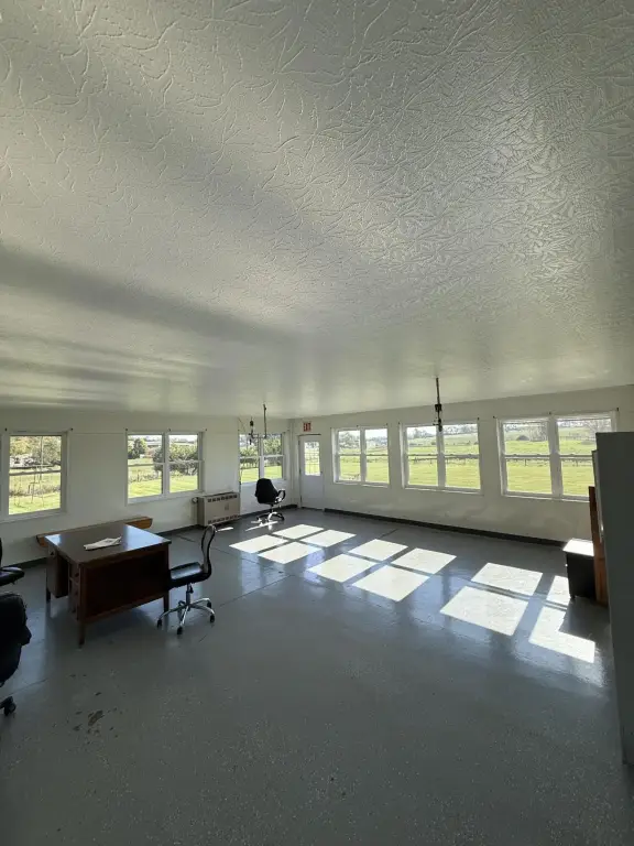 Picture 15