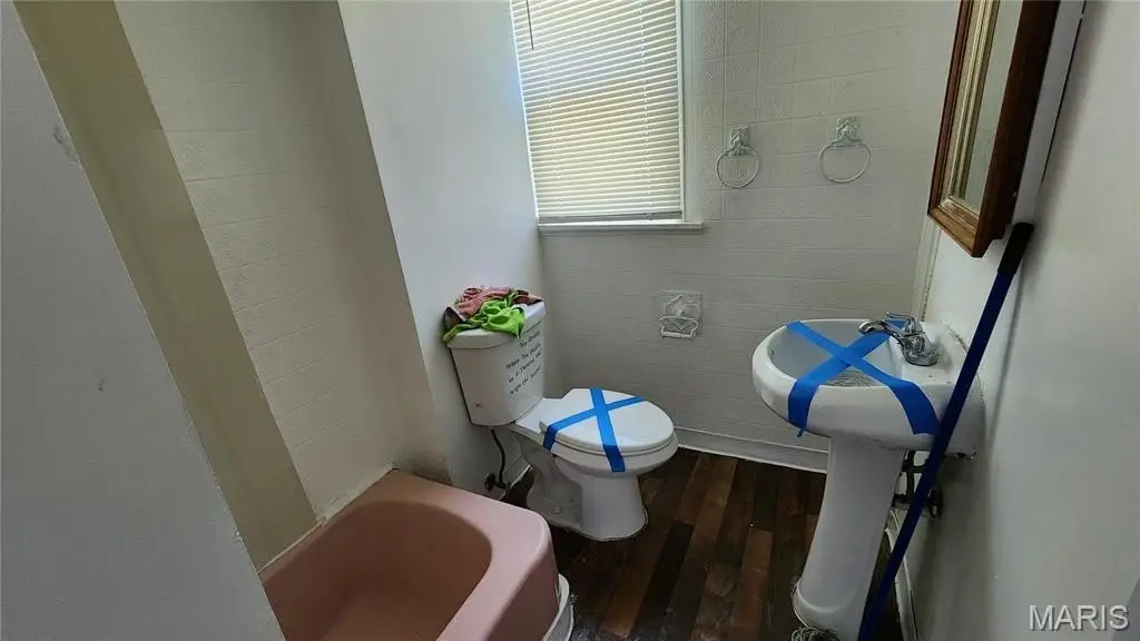 Picture 7