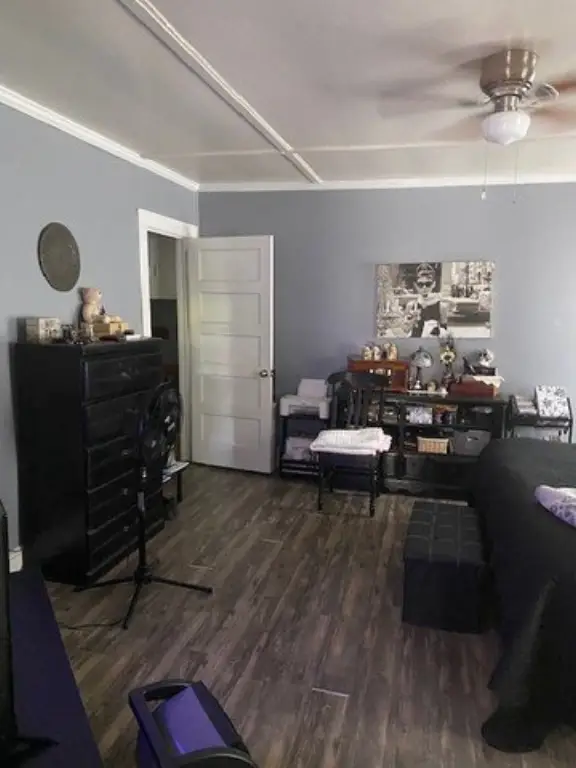 Picture 14