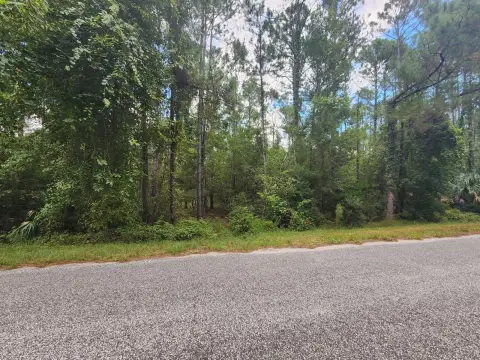 EUSTIS, FL - 1-Acre Lot