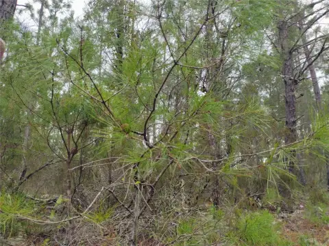 Land in College Park Estates