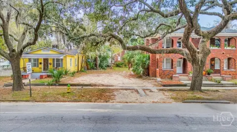 Savannah Buildable Lot with Variance