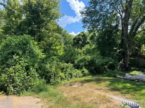 Land in Mill Spring, MO