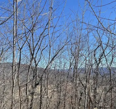 Land in Gated Community