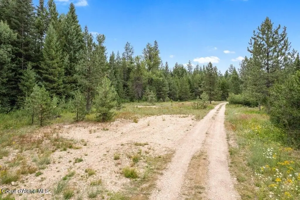 Picture 7