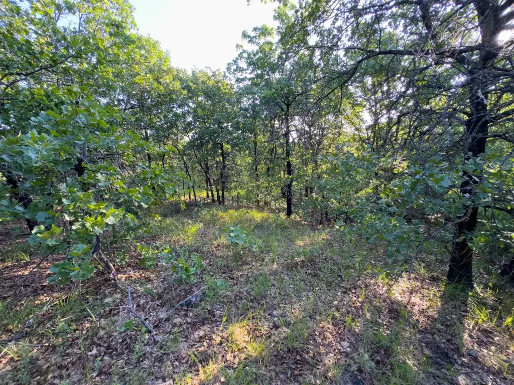 Picture 46