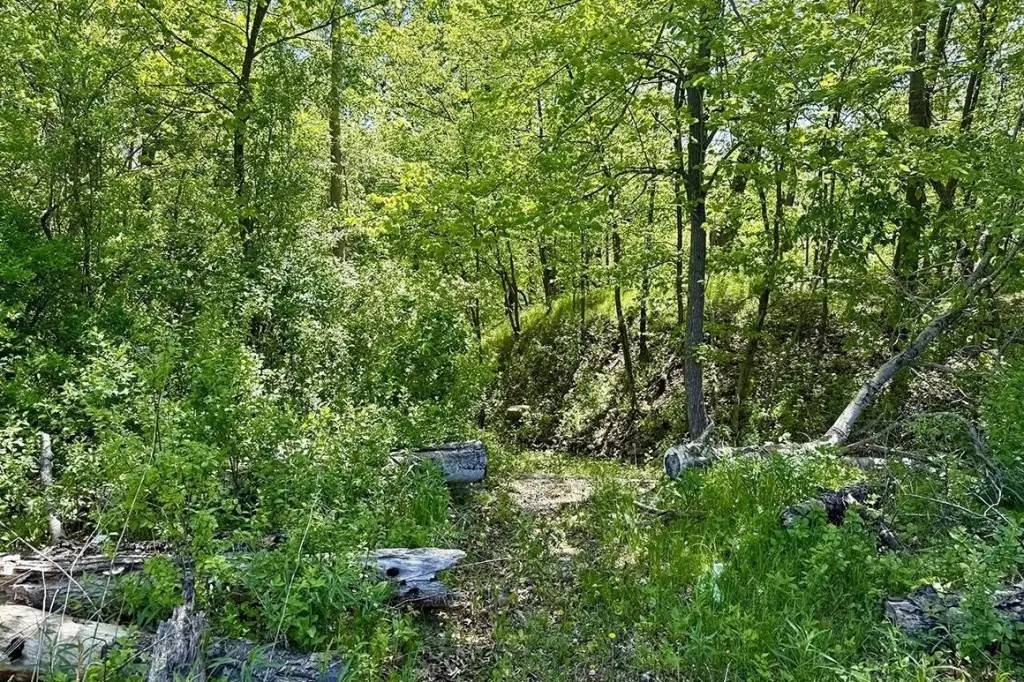 Picture 11