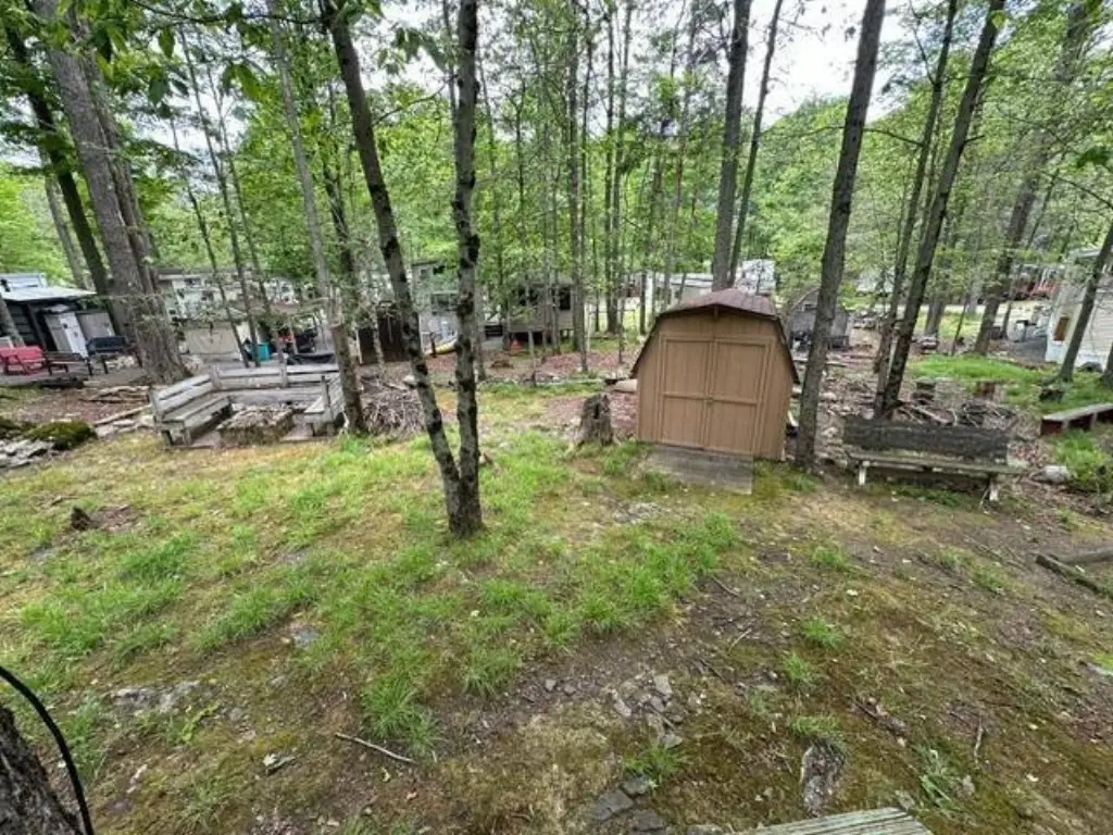 Picture 12