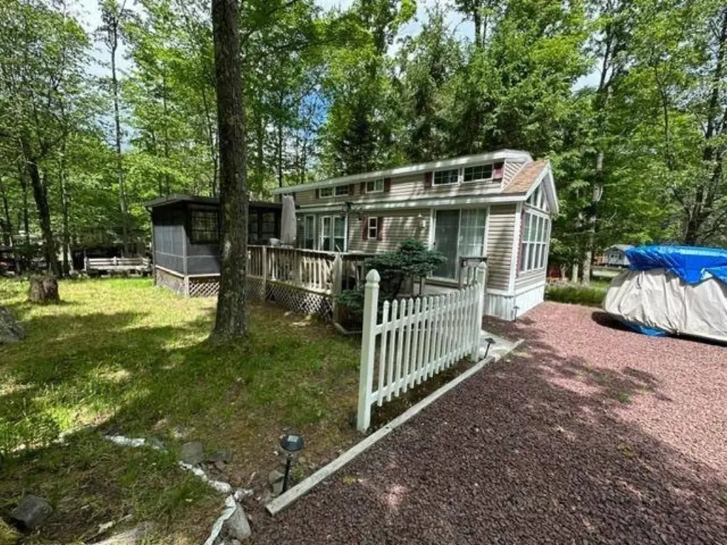 Picture 11