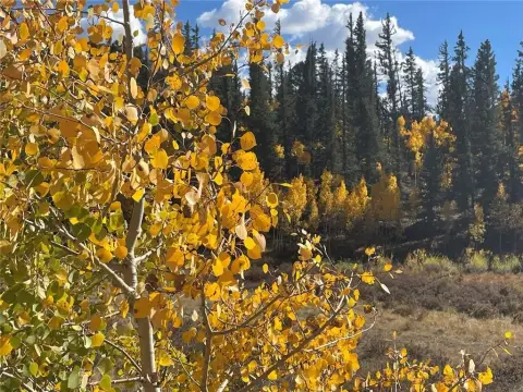 Residential Land in Indian Mountain