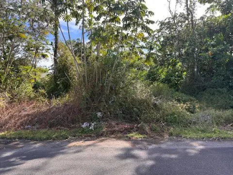 Land in Pahoa, Hawaii