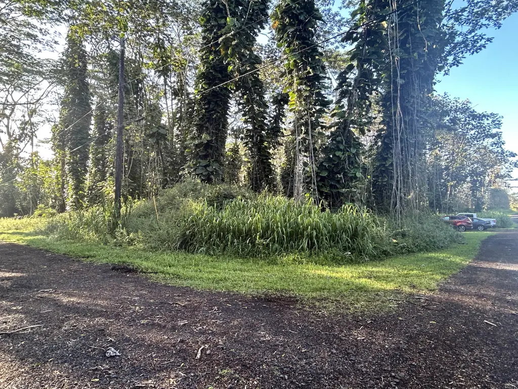 Picture 21