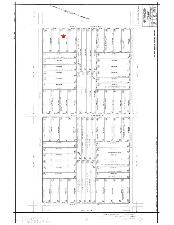 Picture 5