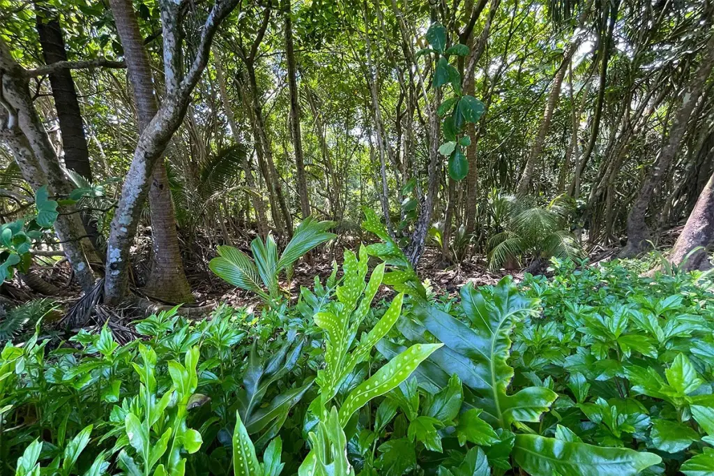 Picture 17