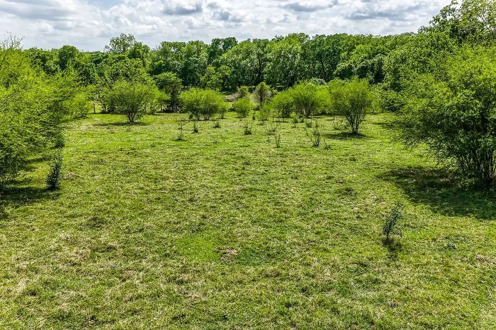 Picture 20