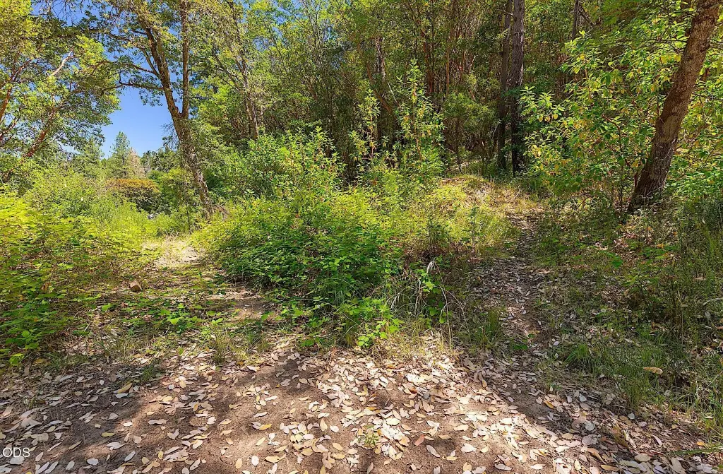 Picture 25