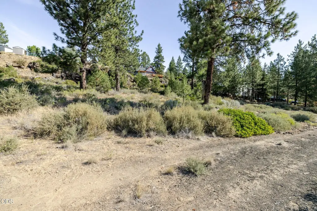 Picture 14