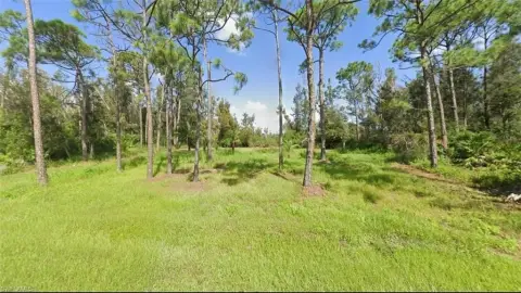Waterfront Lot in Punta Gorda