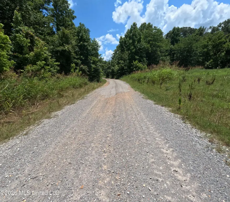 Picture 26
